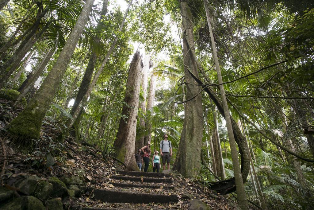 Murwillumbah Guesthouse Yha 外观 照片